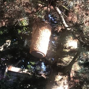 Meet your Posher, Jim